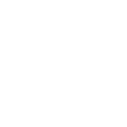 Wefox Logo